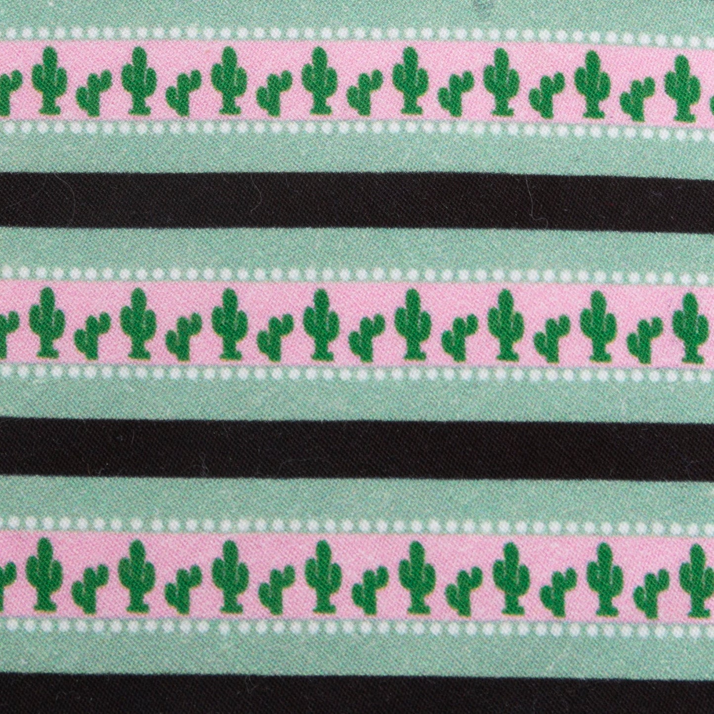 Texas Cactus Stripe Sage Men’s Tie