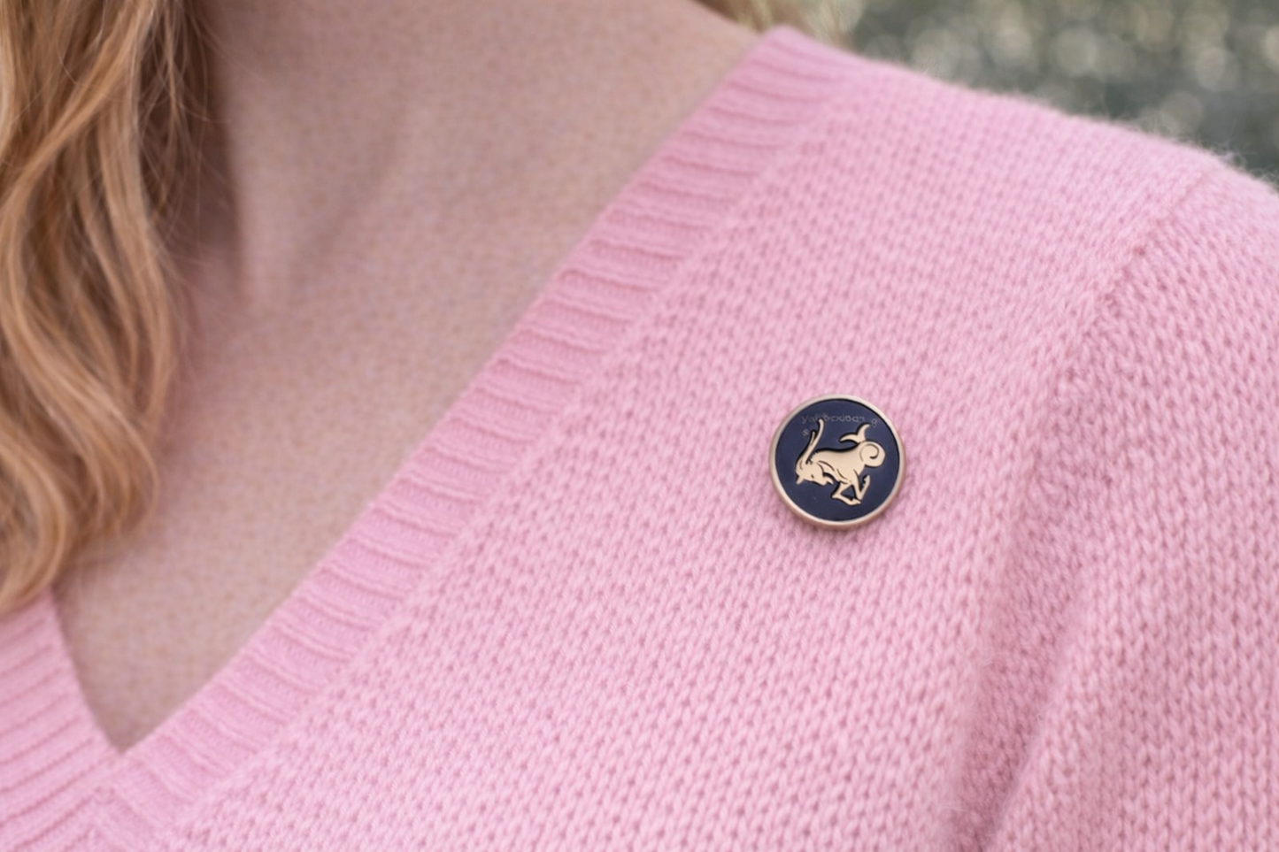 Capricorn Zodiac Sea Goat Lapel Pin – Gold and Navy Enamel Astrology Gift