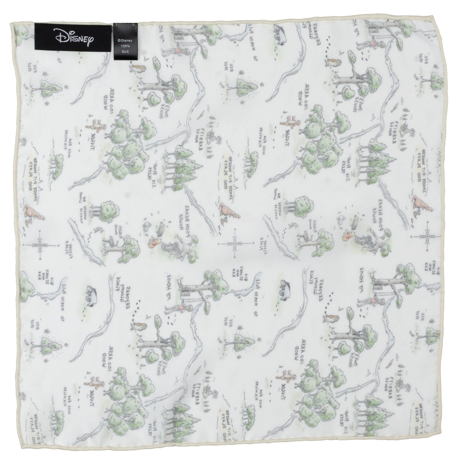 Map-themed product with Disney branding on a white background