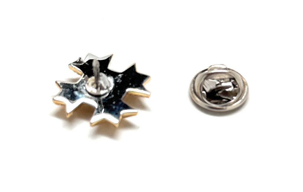Star-shaped metal lapel pin on a white background