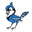 JayPins logo