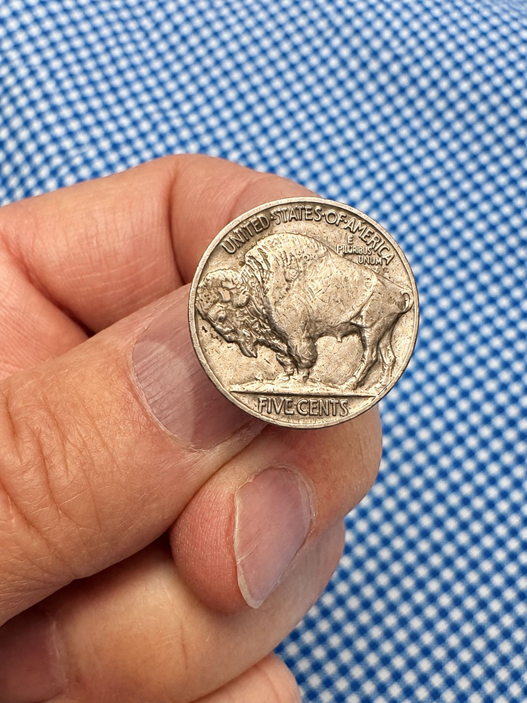 Hand holding a silver Buffalo Nickel coin against a blue checkered background