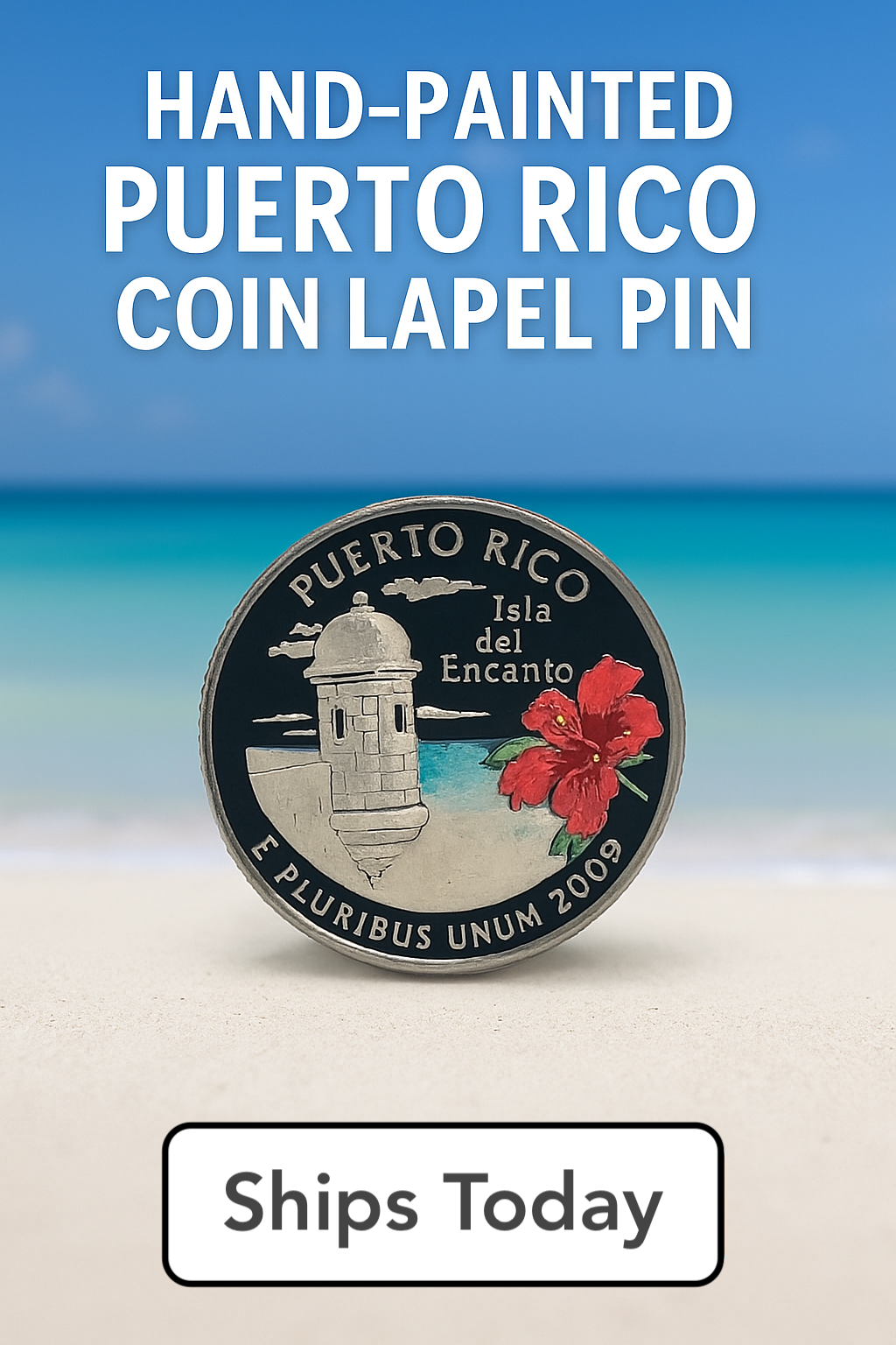 Puerto Rico Quarter Lapel Pin – Hand Painted 2009 U.S. Coin Island Gift