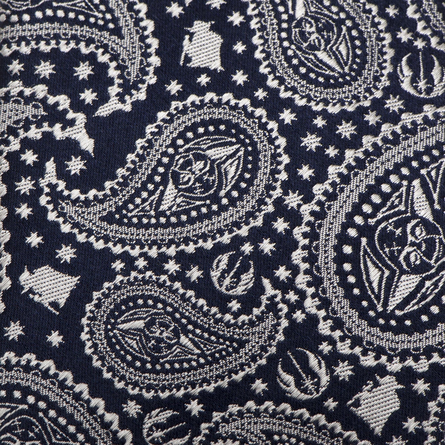 Star Wars Yoda Navy Paisley Tie