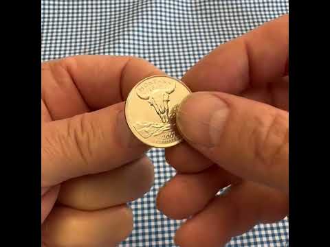 Montana State Quarter Coin Lapel Pin 
