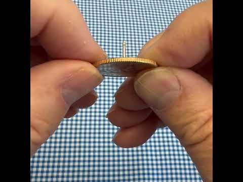 Virginia State Quarter Coin Lapel Pin 