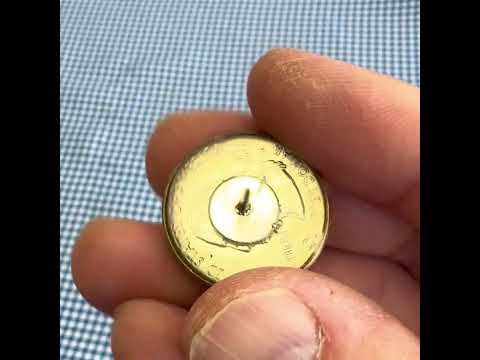 Georgia State Quarter Coin Lapel Pin