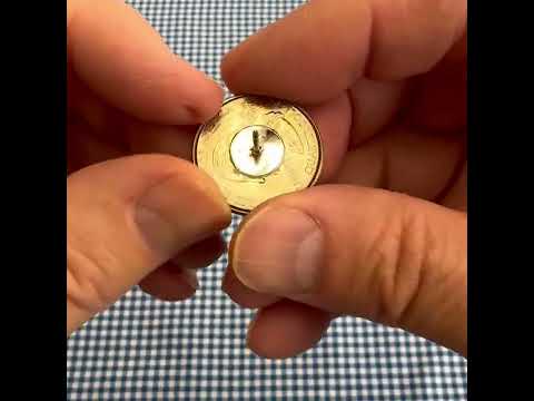 New Mexico State Quarter Coin Lapel Pin 