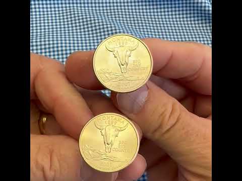 Montana State Quarter Coin Cufflinks 