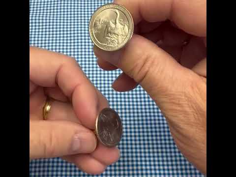 Everglades National Park Coin Cufflinks 