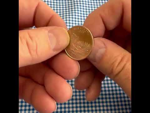 Minnesota State Quarter Coin Lapel Pin 