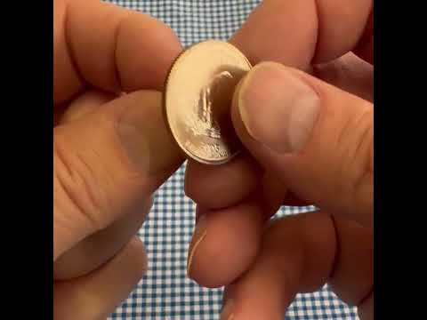 Kansas State Quarter Coin Lapel Pin 