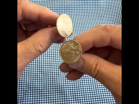 Samoa Coin Cufflinks Uncirculated U.S. Quarter 2009 Cuff Links Enamel Backing Cufflinks