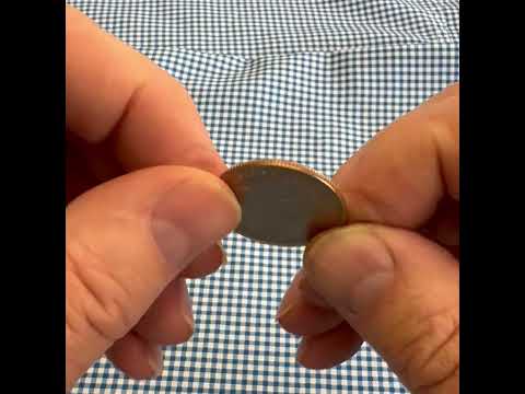 Pennsylvania State Quarter Coin Lapel Pin 