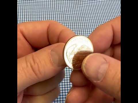 Washington State Quarter Coin Lapel Pin 