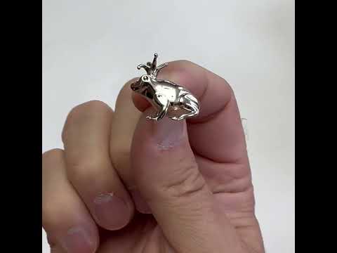 Silver prince charming frog lapel pin with crown on white background video 