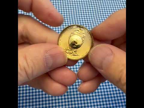 Statue of Liberty Presidential Dollar Lapel Pin