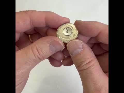 Weir Farm National Historic Site Coin Lapel Pin 