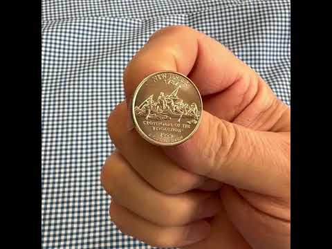 New Jersey State Quarter Coin Lapel Pin 