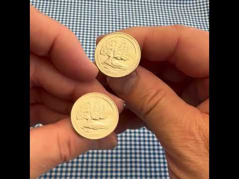 Voyageurs National Park Coin Cufflinks Uncirculated U.S. Quarter 2018 Cuffs Links Enamel Backing Cufflinks