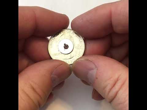 Bombay Hook National Wildlife Refuge Coin Lapel Pin – Authentic Uncirculated U.S. Quarter 2015 | Delaware Heron Bird Collector Coin Pin